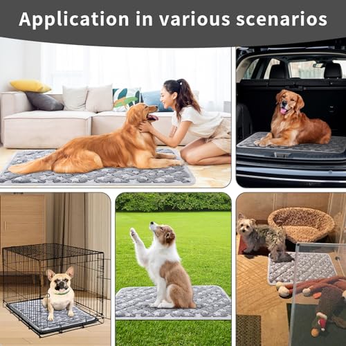 Soft Reversible Dog Crate Pad 2Pcs - 24x16 Inch, Plush Pet Mat, 0.6-inch Thick, Ideal for Small Dogs, Machine Washable - color: 2pcs Grey Heart Shape, size: 24.0"L x 16.0"W x 0.6"Th