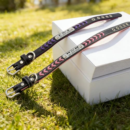 Personalized Dog Collar, Braided Custom PU Leather Dog Collars with Name and Phone Number Engraved Nameplate for Small Medium Large Dogs (Dog Collar)