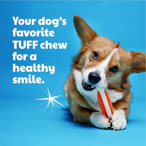 Hartz Chew 'n Clean Tuff Bone Bacon Scented Dental Dog Chew Toy - Large (Pack of 2) - color: green, orange, pink, size: Large (Pack of 2)