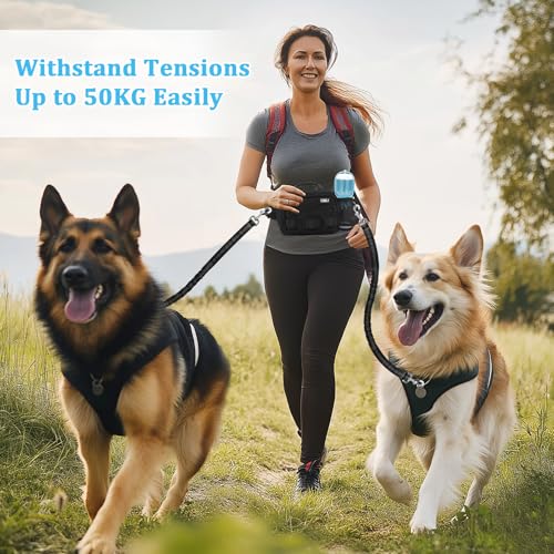Hands Free Dog Leash with Zipper Pouch, Waist Belt for Large Medium 2 Dogs for Running, Walking, Jogging and Hiking, Dual Padded Handles and Durable Bungee - Black (2 Dog) - color: 2 Dog Black
