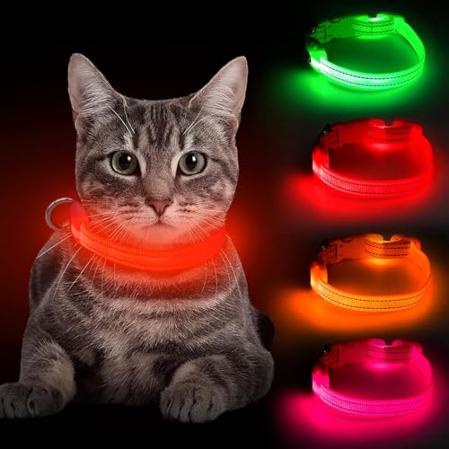 BSEEN Light Up Dog Collar, Reflective LED Dog Collar Rechargeable Glowing Puppy Collars for Small Dogs & Cats, Safety Dog Lights for Night Walking (Red) - color: Red