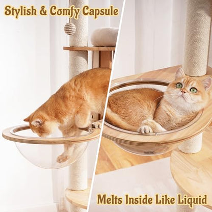 Modern Cat Tree Tower with Scratching Post, 61.5in Tall Cat Tree for Indoor Cats, Multi-Level Solid Wood Cat Furniture with Ladder, Cozy Cat Beds, Cat Condo, Capsule Nest, Dangling Toy, Natural - color: 61.5"Natural