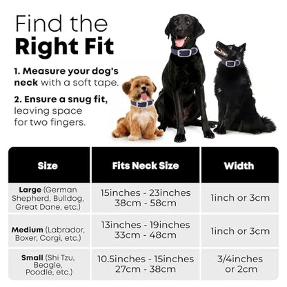 Regal Dog Products Small Purple with Custom Engraved Waterproof Dog Collar and Leash Set | Waterproof Dog Collar with Double Buckle & D Ring - 5'ft Leash | Matching Dog Collar and Leash for Dogs - color: Purple, size: Small Collar with leash