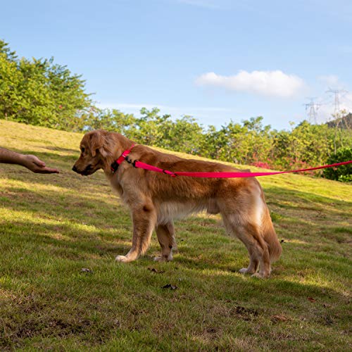 Pets Premium Adjustable 6 Feet Leash with Super Soft Neoprene Padded Handle - Heavy Duty Nylon Lead for Medium Large Giant DogsTraining and Daily Use. (Large, Hot Pink) - color: Hot Pink, size: Large Adjustable 6 Feet