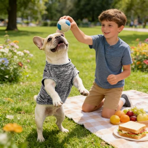 PETCARE Sun Protection Dog Shirts for Small Dogs Quick Dry Soft Stretchy Dog T-Shirts with Reflective Label Tank Top Sleeveless Vest Pet Clothes, Athletic Fabric, Black, L (Chest 19" Length 15.7") - color: Black, size: L ( Suggest 13-17 lbs)