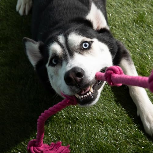 Tumbo Tough Tug Rope Dog Toy - (Pink 5 ft Long Strong and Durable Rope Pull Toy with Handle) TUG of WAR Dog Toy - color: Pink