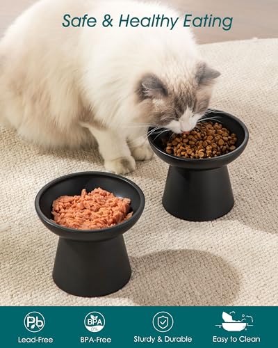 vancasso Elevated Cat Food Bowls 2-Pack, 6.2" Wide Shallow Cat Feeding Bowl for Whisker Fatigue, 5.1" Height Ceramic Raised Food Bowls for Senior Cats, Anti Vomit, Black - color: Black-Food 2-pack