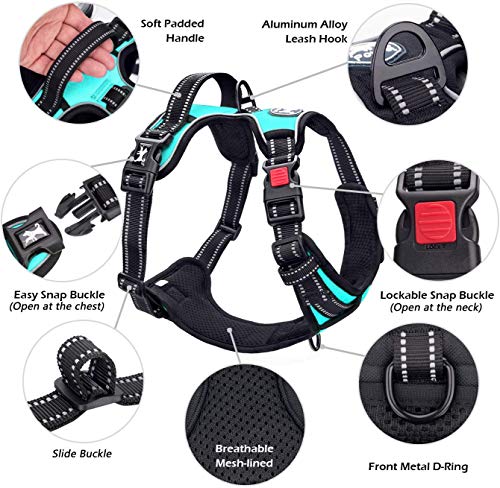 PoyPet No Pull Dog Harness, No Choke Front Lead Dog Reflective Harness, Adjustable Soft Padded Pet Vest with Easy Control Handle for Small to Large Dogs(Mint Blue,XS) - color: Mint Blue, size: XS