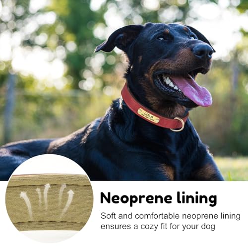 Custom Leather Dog Collar with Name Plate - Personalized Collar for Dogs with Laser-Engraved Nameplate - PU Faux Leather with Neoprene Lining (Gary, L (14-18 Inches)) - color: Gray, size: L (14-18 Inches)