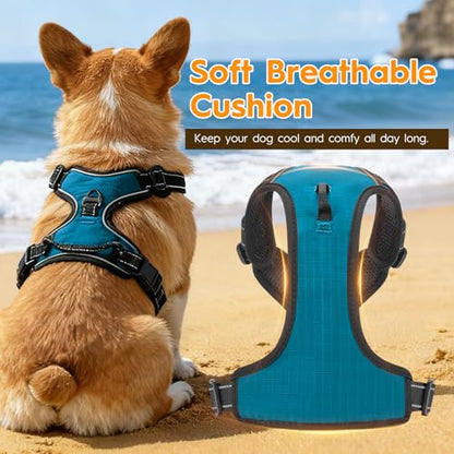 No Pull Dog Harness, No Chock Reflective Adjustable Soft Padded Pet Vest with Easy Control Handle, Easy Wearing with Stylish, Reinforced Knot, 2 Buckles - color: Frosted Aqua, size: X-Small