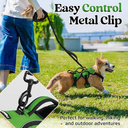 rabbitgoo Escape Proof Dog Harness, Soft Padded Full Body Pet Harness, Reflective Adjustable No Pull Vest with Lift Handle and Lesh Clip for Large Dogs Walking Hiking Training, S, Green - color: Green, size: Small (Pack of 1)
