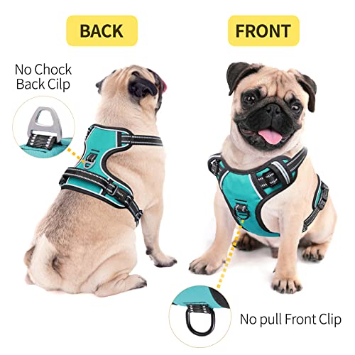 HEELE Dog Harness Dog Harness Small Dog No Pull Harness wiht Soft Handle Reflective Harness Adjustable, Turquoise, XS - color: Turquoise, size: XS