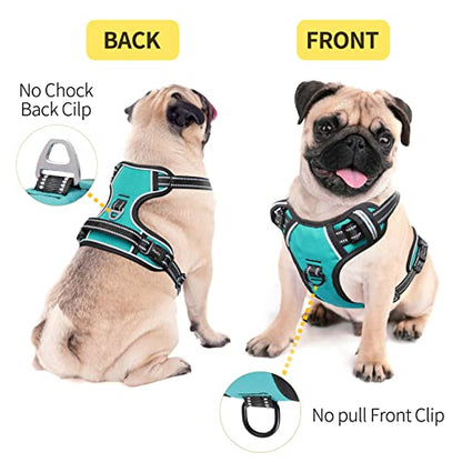 HEELE Dog Harness Dog Harness Small Dog No Pull Harness wiht Soft Handle Reflective Harness Adjustable, Turquoise, XS - color: Turquoise, size: XS