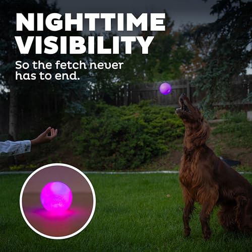 Outward Hound by Planet Dog Strobe Light Up LED Ball Dog Toy, Purple - color: Purple Strobe Toy
