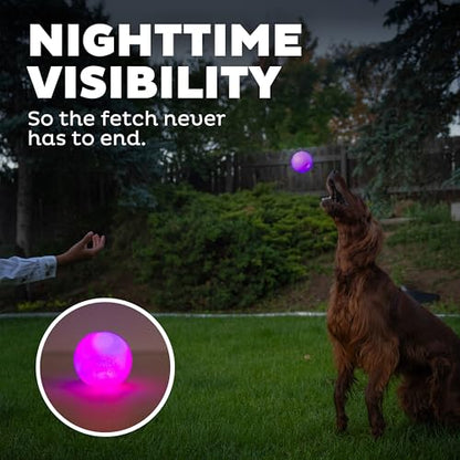 Outward Hound by Planet Dog Strobe Light Up LED Ball Dog Toy, Purple - color: Purple Strobe Toy