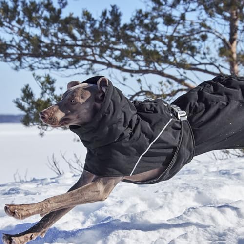 Hurtta Extreme Warmer III ECO, Cold Weather Winter Dog Coat, Raven, 16 in - color: Raven, size: 16 in
