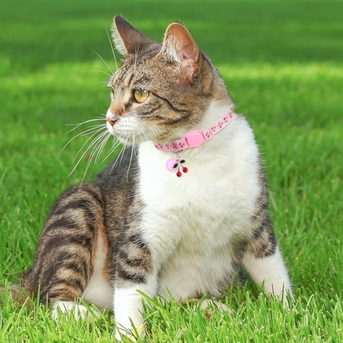 BINGPET Breakaway Cat Collar with Bell, 3 Pack Cat Collars for Girl Cats, Cute Kitty Collars Accessories with Pineapple & Cherry & Strawberry - color: Fruit-3pcs