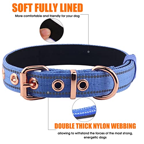 Neoprene Padded Dog Collar, Nylon Collar for Small to Large Dogs, Heavy Duty with Metal Buckle, Reflective(Medium, Blue) - color: Blue, size: Medium (Pack of 1)