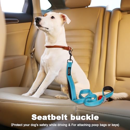 6 Foot Blue Dog Leashes for Large Medium and Small Breed Dogs That Pull,Reflective Nylon Heavy Duty Dog Leash with 2 Comfortable Padded Traffic Handles and Car Seat Belt for Walking and Training - color: Sky blue