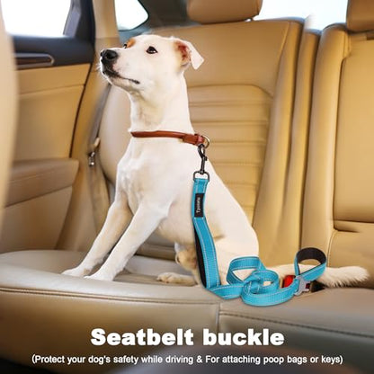 6 Foot Blue Dog Leashes for Large Medium and Small Breed Dogs That Pull,Reflective Nylon Heavy Duty Dog Leash with 2 Comfortable Padded Traffic Handles and Car Seat Belt for Walking and Training - color: Sky blue