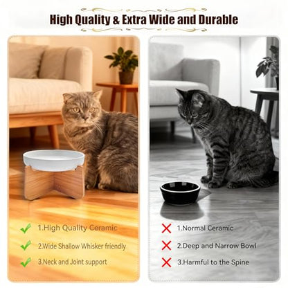 Shallow Elevated Cat Bowls with Bamboo Stand, 6.1 Inch Wide Ceramic Cat Dish Whisker Friendly, 2 Pack Pet Food and Water Plates - color: White 2 pack