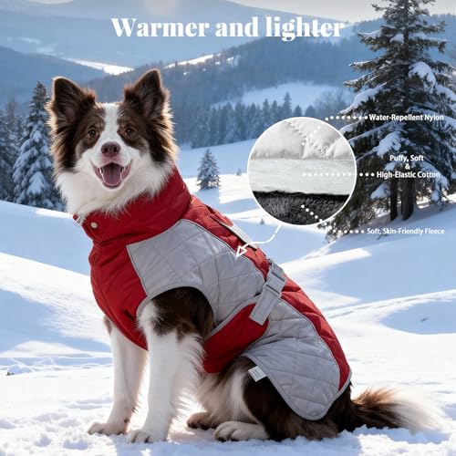 Dog Coat Dogs Jacket Waterproof Reflective Adjustable Dog-Winter Coats for Small/Medium/Large Dogs Dachshund Coat-(Red, XX-Large) - color: Red, size: Xx-large(chest 31~35in)