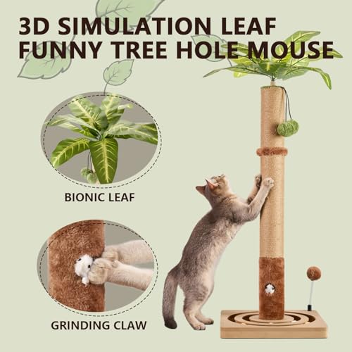 MECOOL Cat Scratching Post Sturdy and Premium Scratch Posts with Hanging Ball and Ball Track Toy Cute Cat Tree 30in for Indoor Kittens - size: 30 inches for Kittens