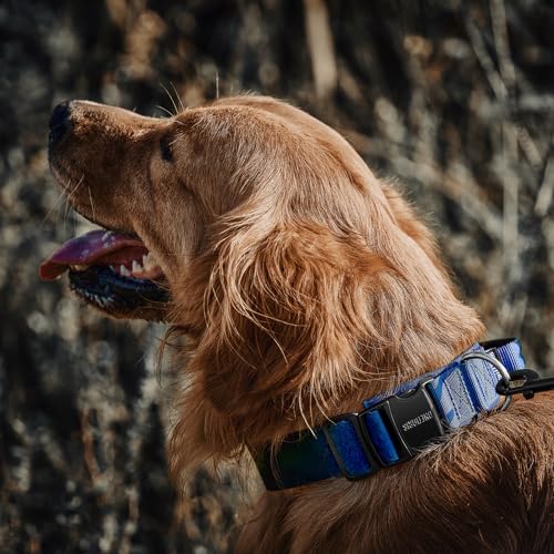 OneTigris Tough Dog Collars, Tactical Dog Collar with Handle, Milltary Adjustable Dog Collar with Heavy Duty Metal Buckle for Training (Large,Blue) - color: Blue, size: L