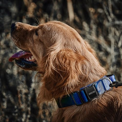OneTigris Tough Dog Collars, Tactical Dog Collar with Handle, Milltary Adjustable Dog Collar with Heavy Duty Metal Buckle for Training (Large,Blue) - color: Blue, size: L