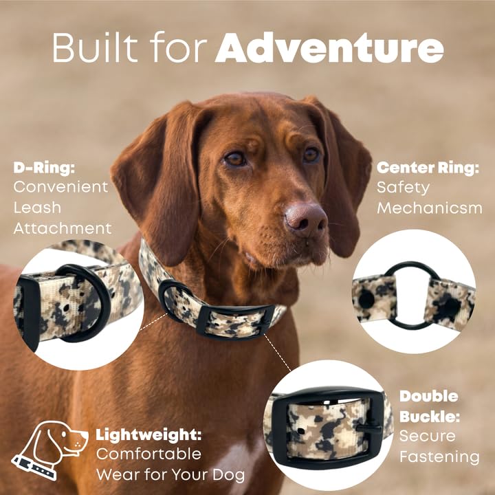 Regal Dog Products Medium Camo Hunting Dog Collar with Custom Engraved Name Plate & Black Hardware | Waterproof Personalized Dog Collars for Mid Size Dog | Other Sizes for Puppies, Small & Large Dogs - size: Medium, style: Digital Camouflage