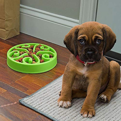 Slow Feeder Dog Bowl Anti-Choking Help Prevent Bloat Non Toxic BPA Free Feeding Dish SH-10303, Green