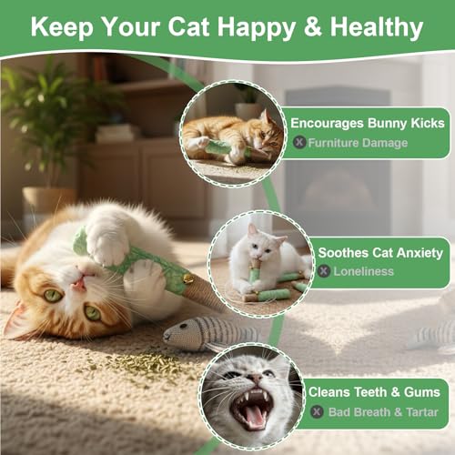 3 Pack Catnip Toys, Interactive Cat Toys for Indoor Cats with Chew Rope & Bell, Fun Kitten Teething Chew and Kicker Toys, Relieve Boredom & Anxiety