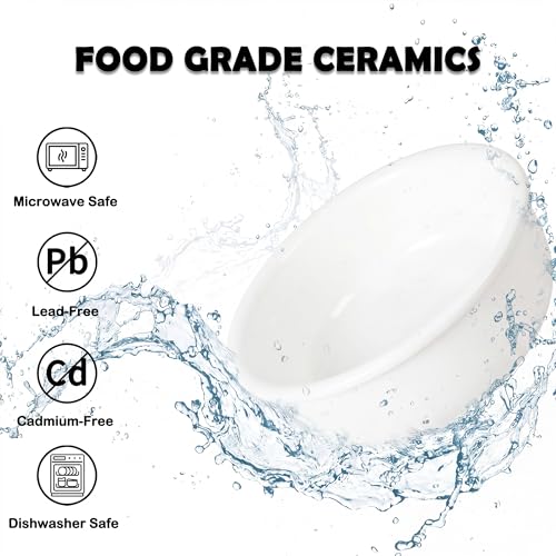 Ceramic Elevated Dog Bowl Set - Double Dog Food and Water Bowls with Metal Stand - Raised Pet Dishes for Puppies and Cats - 2 Cups - 12.5 fl oz - Matte White - color: Matte White, size: S-200ml