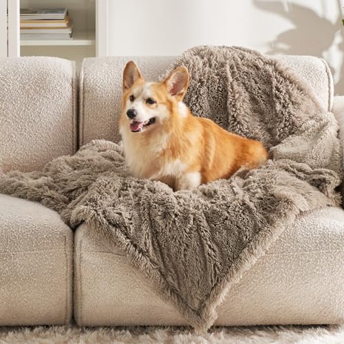 Bedsure Dog Blankets for Small Dogs, Fluffy Waterproof Dog Blanket for Couches Washable, Cat Blanket, Faux Fur Fuzzy Pet Throw Blankets for Puppy Doggy, 30x40 inch, Brown - color: Light Brown, size: M(30x40")