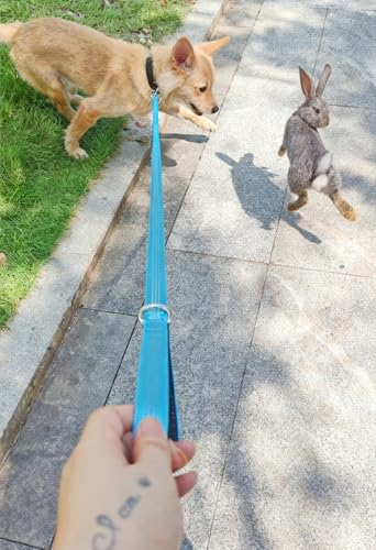 Bungee Dog Leash- 5FT Shock Absorbing & Reflective Nylon Leash | Anti-Pull Training for Small/Medium Dogs | 2cm Wide, 6 Colors (Teal) - color: Teal