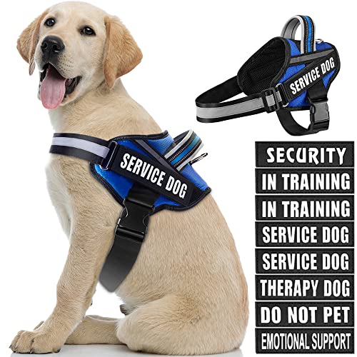 Dog Vest Harness and Patches Set, Animire in Training Service Dog Harness with 10 Dog Patches, Reflective Dog Vest with Handle for Small, Medium, Large, and Extra-Large Dogs - color: Blue, size: LARGE (Chest:26.5-36 Inch)