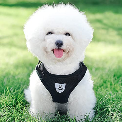 Dog Harness and Leash Set for Walking, Soft Mesh Adjustable Easy Control Lightweight Cat Vest Harnesses with Reflective Strips, Escape Proof Small Dogs Cats Vests (Black, Small) - color: Black, size: Small
