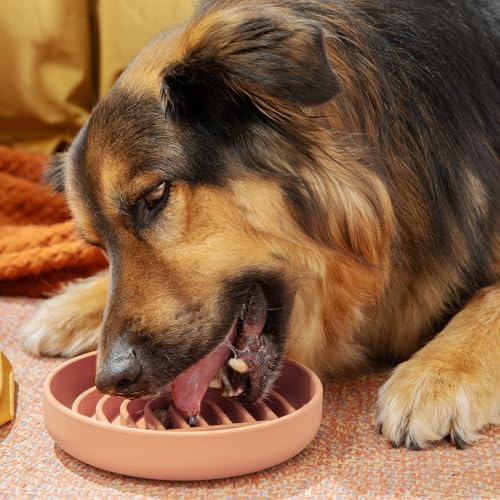 Should We Go? Slow Feeder for Dogs & Puppies, The Slowdown Bowl Silicone Slow Eating, Modern Lick Mat Design, Reduces Gulping, Fits 2 Cups, 7.5” Across x 1.5” Tall, Mealtime Challenge, Medium-Blush - color: Blush - Rainbow Design, size: Medium (7.5” Acros