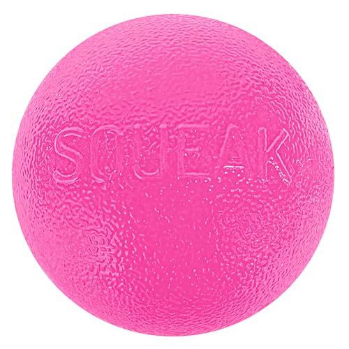 Outward Hound by Planet Dog Squeak Ball Bouncy Fetch Dog Toy, Pink - color: Pink Squeak Toy