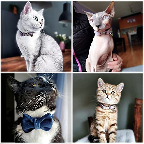 Cat Collar Personalized with Name Phone Number Engraved,Customized with Bell for Small Dogs Puppy Kitten - color: Black, size: S (6"-10")