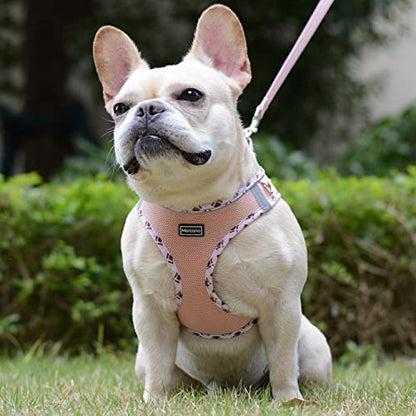 Mercano Soft Mesh Dog Harness and Leash Set, Step-in Reflective Breathable Lightweight Vest Harnesses with Safety Buckle for Small Dogs, Cats (Champagne, XXS) - color: Champagne, size: XXS (Chest: 9.5"-11.2")