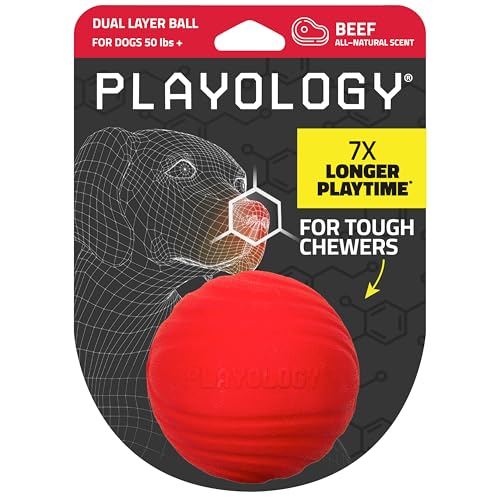 Playology Dog Toys | Dual Layer Ball Durable Chew Toy for Tough Chewers | Beef Scented Jumbo Dog Ball | Chew Toys for Large Dogs - size: Jumbo, style: Beef