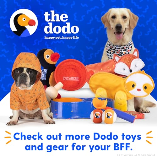 The Dodo Collapsible Dog Bowl, Red; Travel Dog Bowl That Folds Flat and Clips with Carabiner for Easy Storage and Carry - color: Red