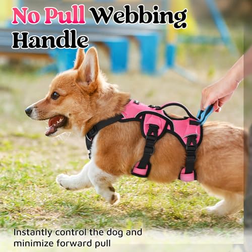 rabbitgoo Escape Proof Dog Harness, Soft Padded Full Body Pet Harness, Reflective Adjustable No Pull Vest with Lift Handle and Leash Clip for Large Dogs Walking Hiking Training, S, Pink - color: Pink, size: Small (Pack of 1)