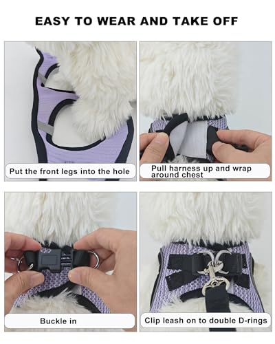 Dog Harness Small Sized and Leash Set, Step in Soft Light Puppy Vest, Breathable Mesh Pet Harness Suitable for Puppies and Kittens. (Pink, M(Chest:15.75-18.11")) - color: Pink, size: M(Chest:15.75-18.11")