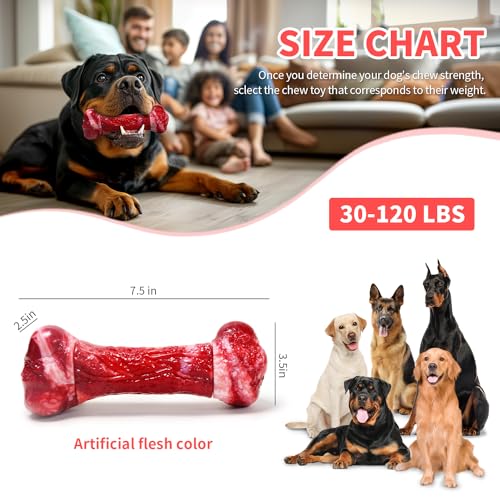 Dog Toys for Aggressive Chewers - Long-Lasting Nylon Chew Bones, Indestructible Toys for Medium to Large Breeds, Teething Toys to Keep Them Busy (Red)