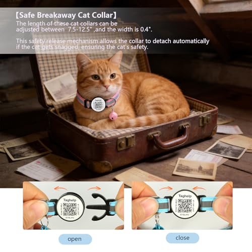 Reflective Kitten Collars with Bell,Cat Collar Breakaway with QR Code Name Tag, Cat ID Tag Personalized, Ultra-Durable, Adjustable, Fits Most Girl Boy Small Large Cats (Pink Reflective)