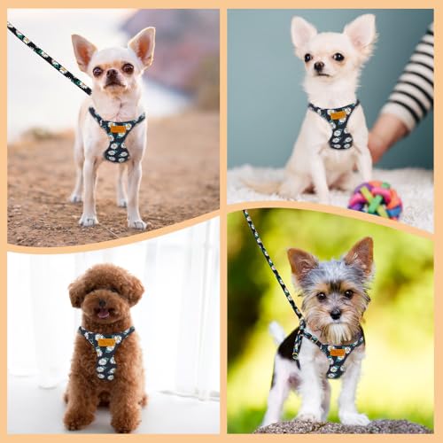 Lukovee Puppy Harness and Leash Set, No Pull Lightweight Soft Suede Adjustable Pet Harness Vest with Snap Buckle for Puppy Small and Medium Size Dog (Black-XXS) - color: ·Black Daisy, size: XX-Small ( 2.2-6lb )