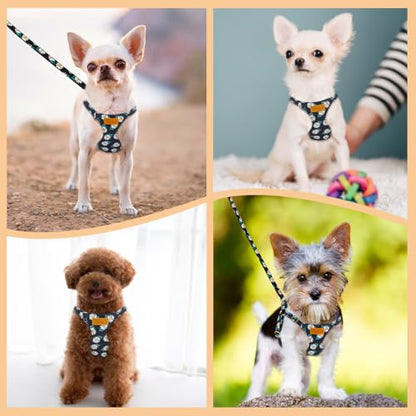 Lukovee Puppy Harness and Leash Set, No Pull Lightweight Soft Suede Adjustable Pet Harness Vest with Snap Buckle for Puppy Small and Medium Size Dog (Black-XXS) - color: ·Black Daisy, size: XX-Small ( 2.2-6lb )