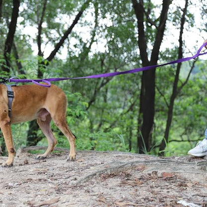 ICEFANG Relfective Dog Leash for Medium Large Dogs,K9 Training Walking Lead with Double Handle,Heavy Duty Auto-Lock Metal Clasp (6ft, Purple) - color: Purple, size: 6 ft (No bungee)